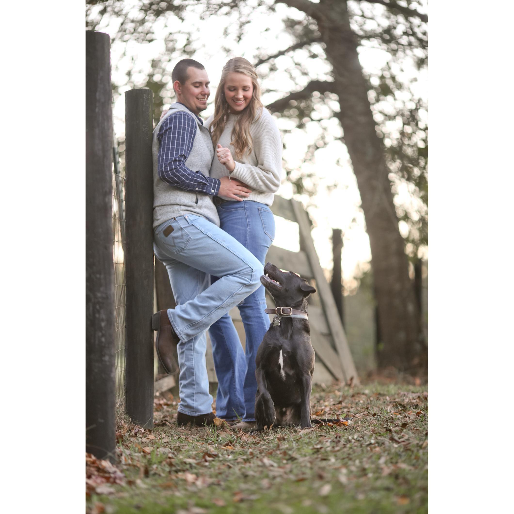 Engagement pictures