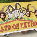 Goats on the Roof