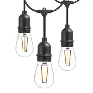 Newhouse Lighting 48 ft. 2-Watt Outdoor Weatherproof LED String Light