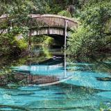 Juniper Springs