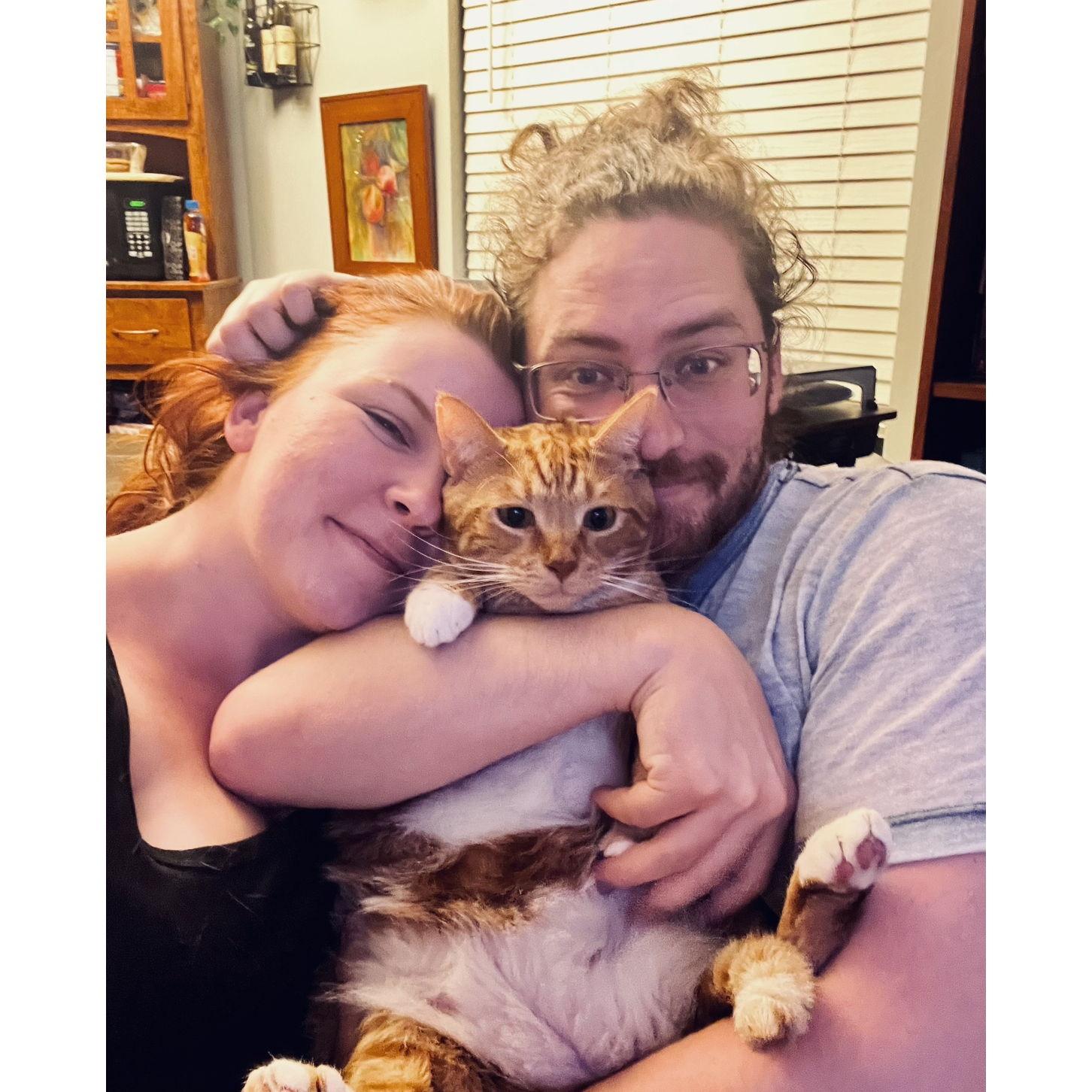 Ollie doesn't mind it as much