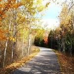 Betsie Valley Trail