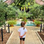 Bailey Arboretum