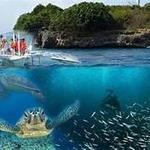 LIGHT ADVENTURES Pescador Island Hopping 01.20.20