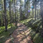 Hike the Barred Island Preserve trail