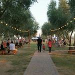 Queen Creek Olive Mill