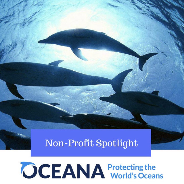 Oceana Non-Profit