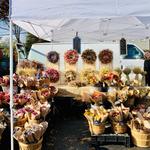 Kingston Farmers Market