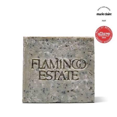 Morning Exfoliating Peppermint Soap Brick
