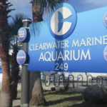 Clearwater Marine Aquarium