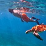 Water Activities and marine life