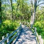 Gibson Woods Nature Preserve