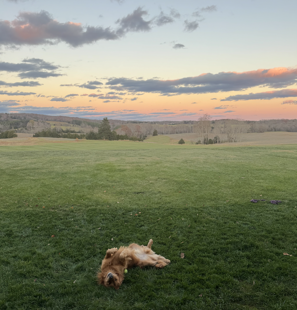 The Wedding Website of Morgan Pearce and Mason King