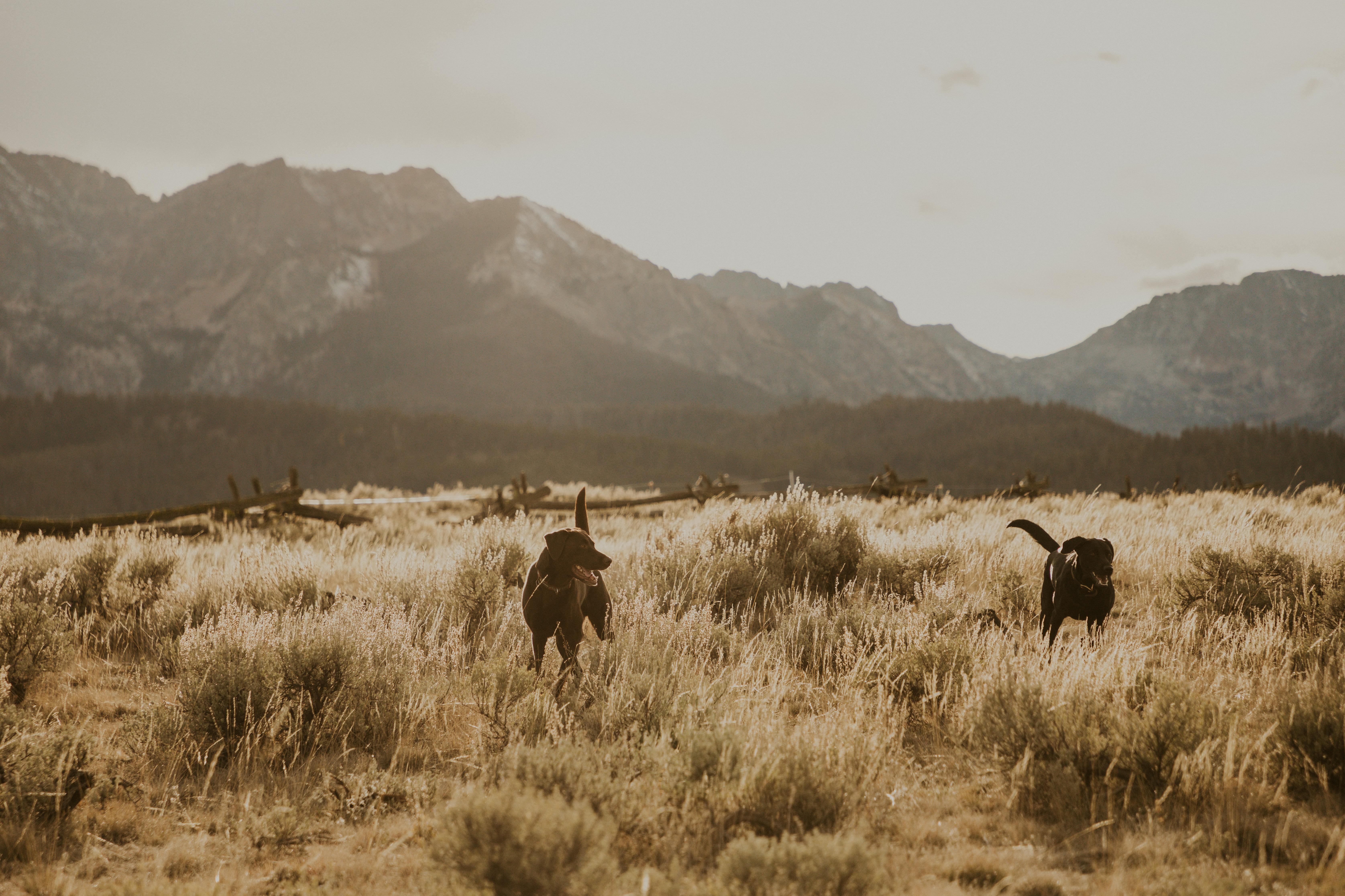 The Wedding Website of Hali Young and Jacob Buschman