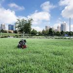 Railroad Park