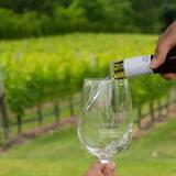 Del Vino Vineyards