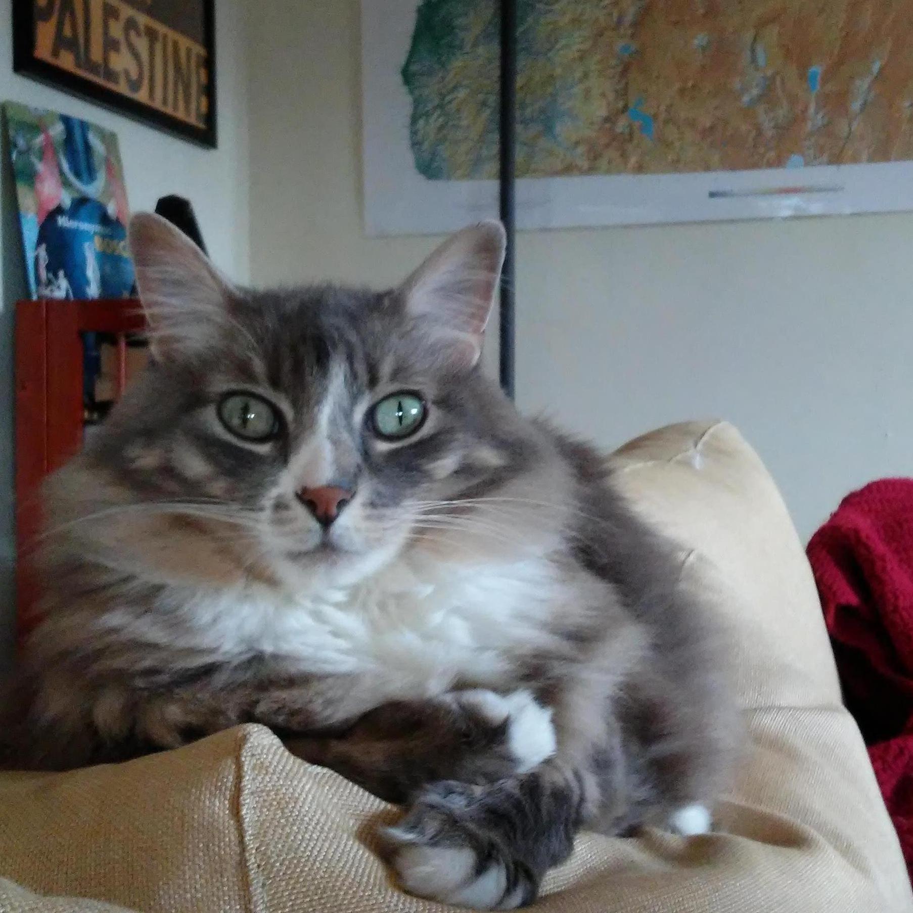 Princess Murphy Beyonce (a.k.a. Our Third Half)