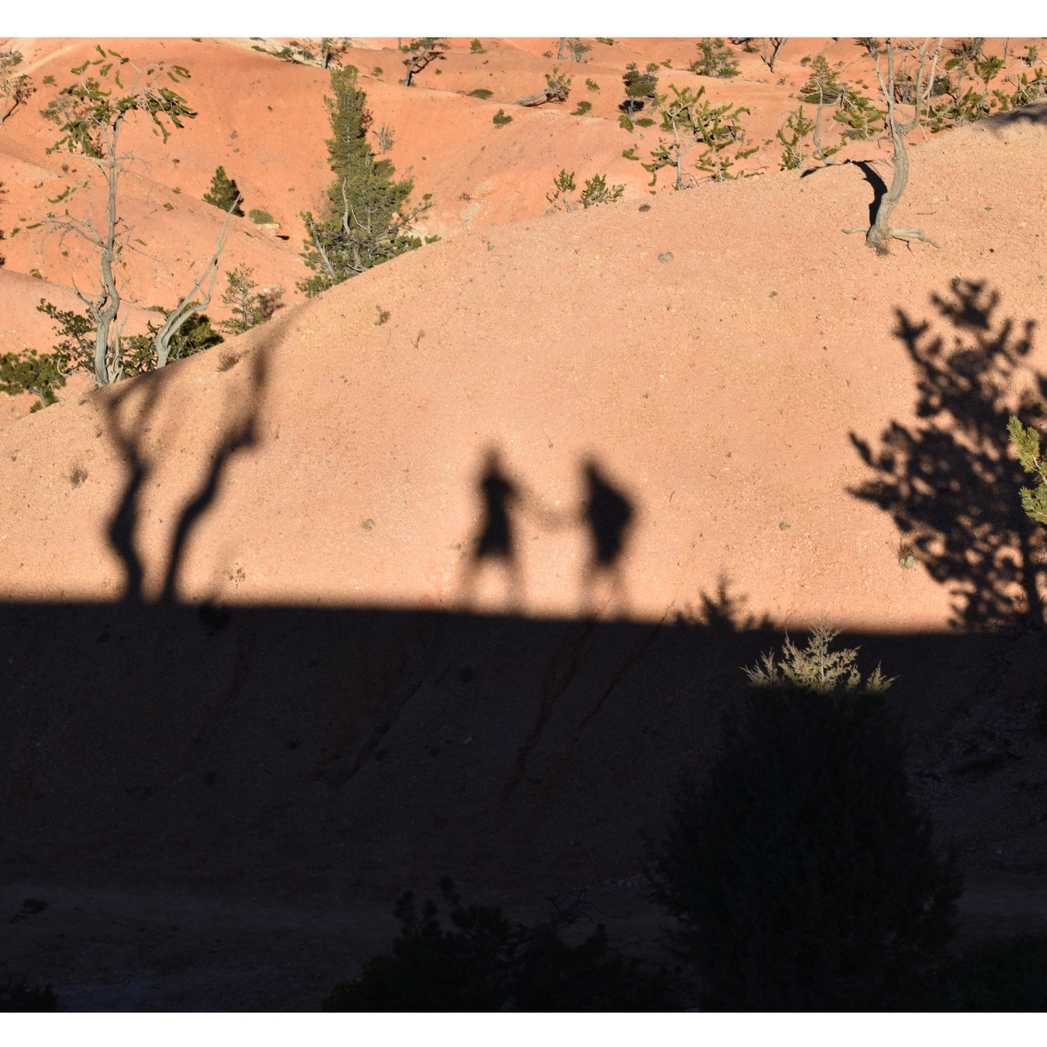 Queen’s Garden Trail, Bryce Canyon 2021