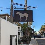 The Drunken Horse