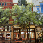 Downtown Traverse City Shopping