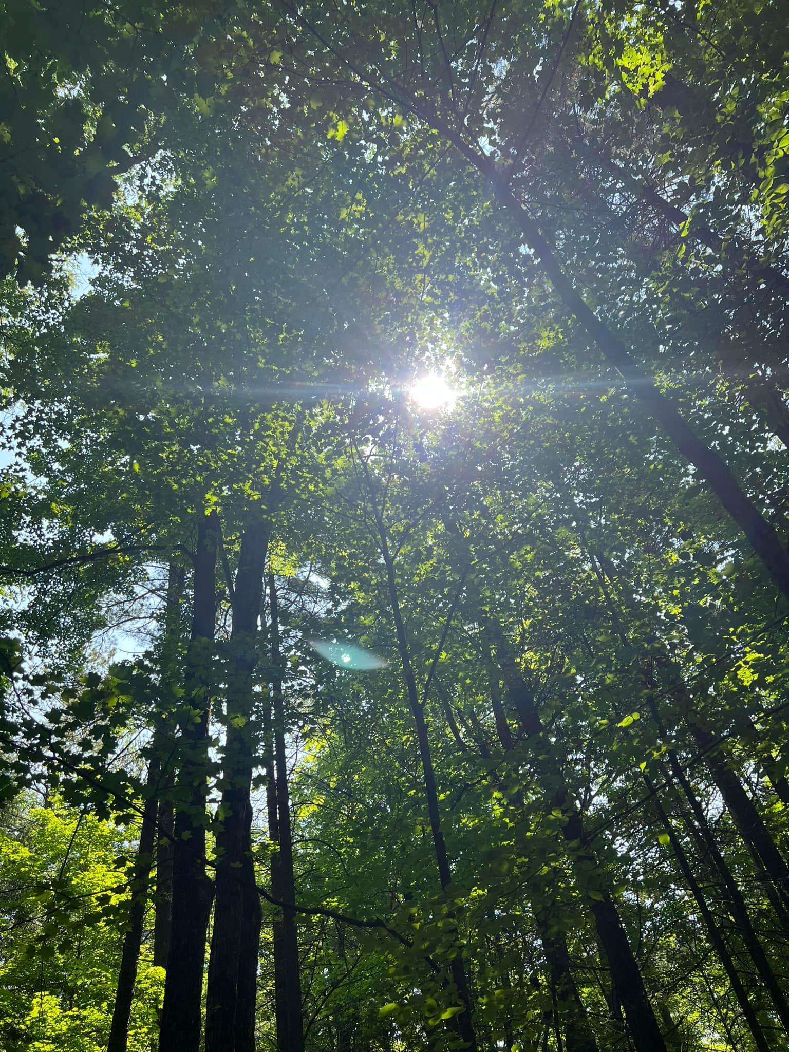 The Wedding Website of Rikkilyn Hibbard and Andrew Hoffman