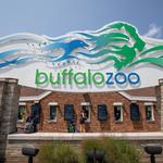 The Buffalo Zoo