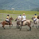 Sunday Polo at King Family Vineyards