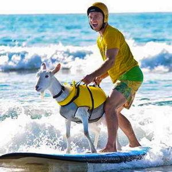 Surf Lessons For Two