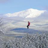 Bretton Woods Canopy Tour