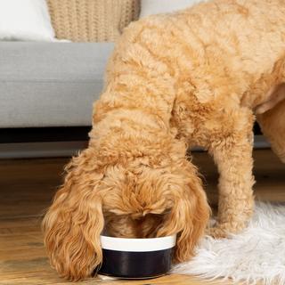 Dipper Bowl