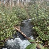 Allegheny Front, Rock Run, and Forks Trail Loop
