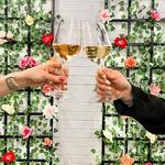 Vine Bar