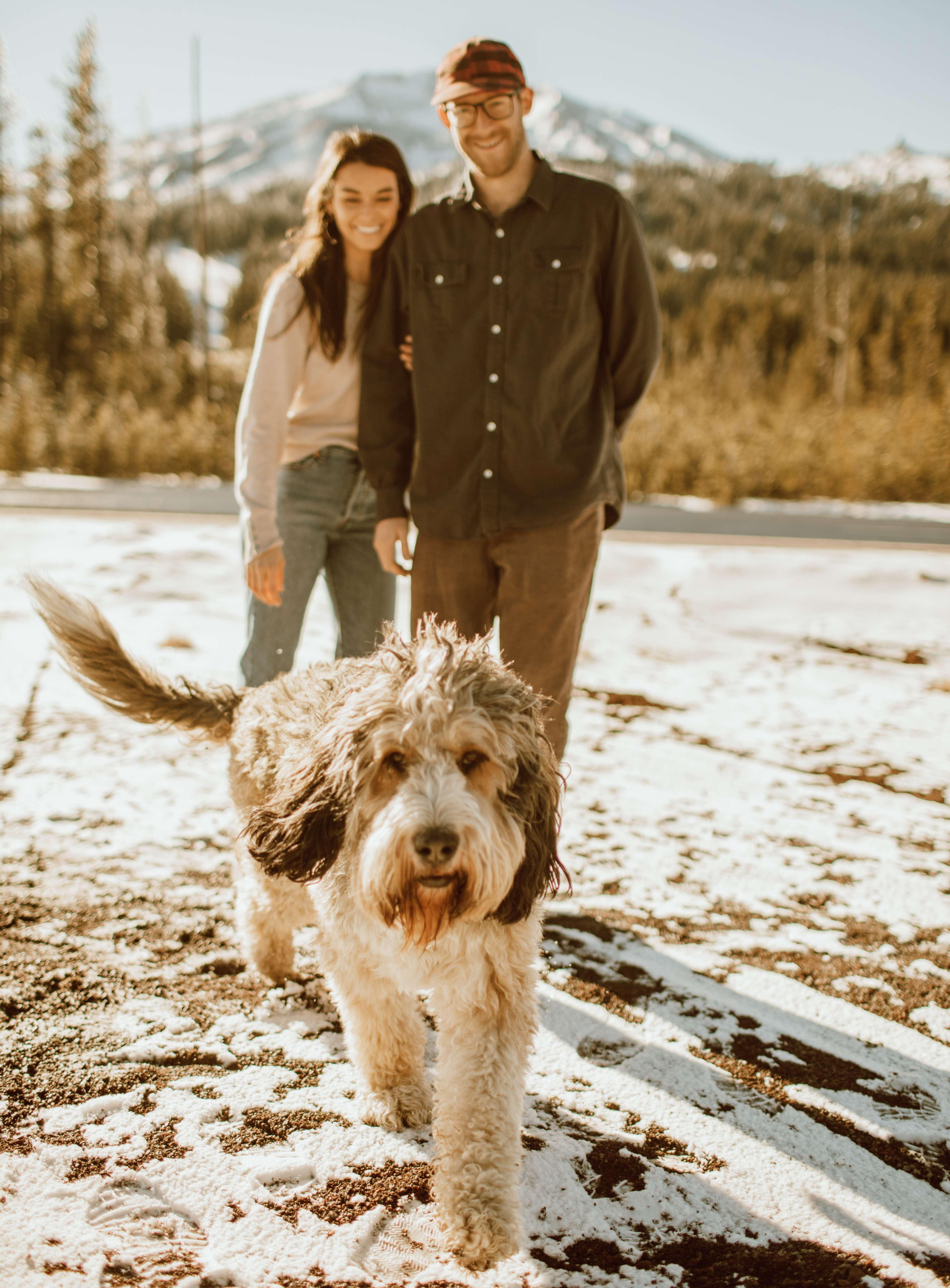 The Wedding Website of Jessica Andres and Sean Beaney