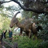 Santa Barbara Museum of Natural History
