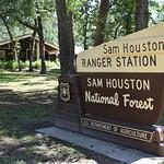 Sam Houston National Forest