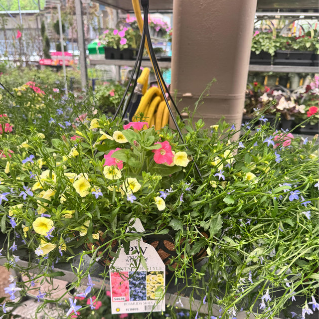 Flowers for the bride’s garden