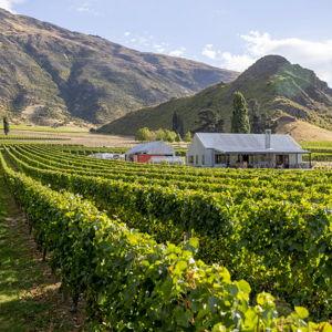 Gibston Winery Tasting