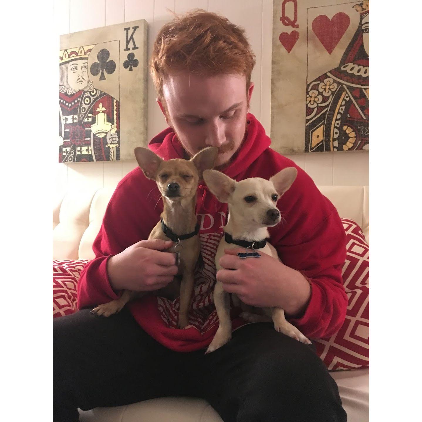 Year 3. The first day we fostered the pups we ended up keeping forever!