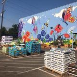 North End Organic Nursery