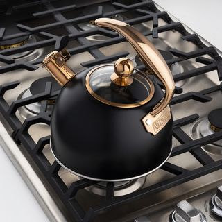 3-Ply Tea Kettle