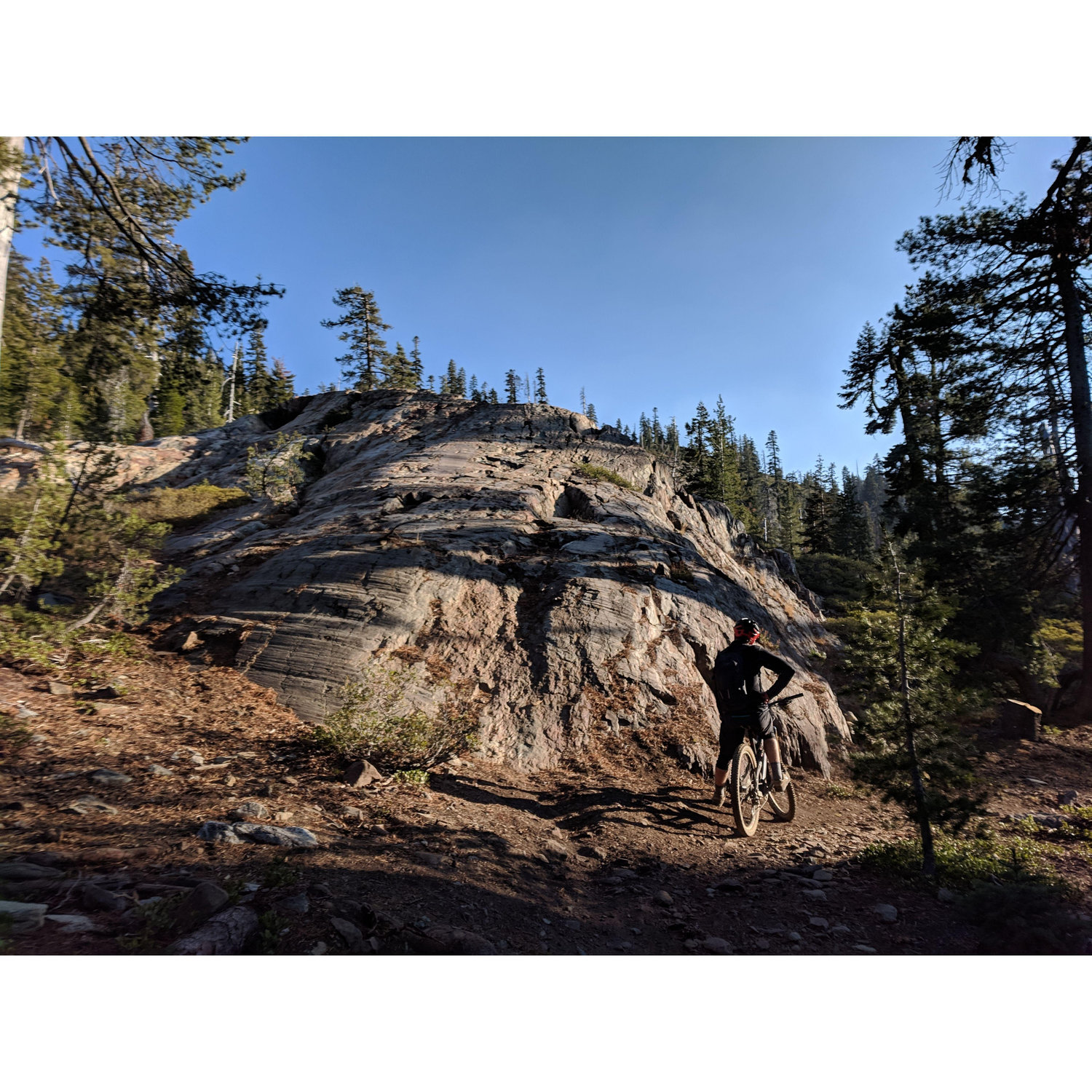Mountain biking in Downieville - Duh