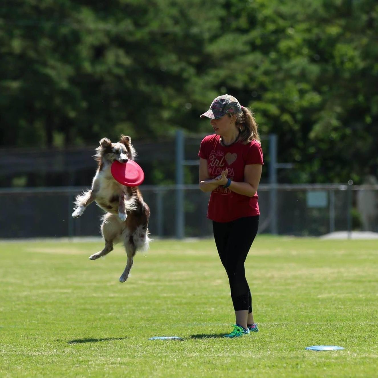 Frisbee time
