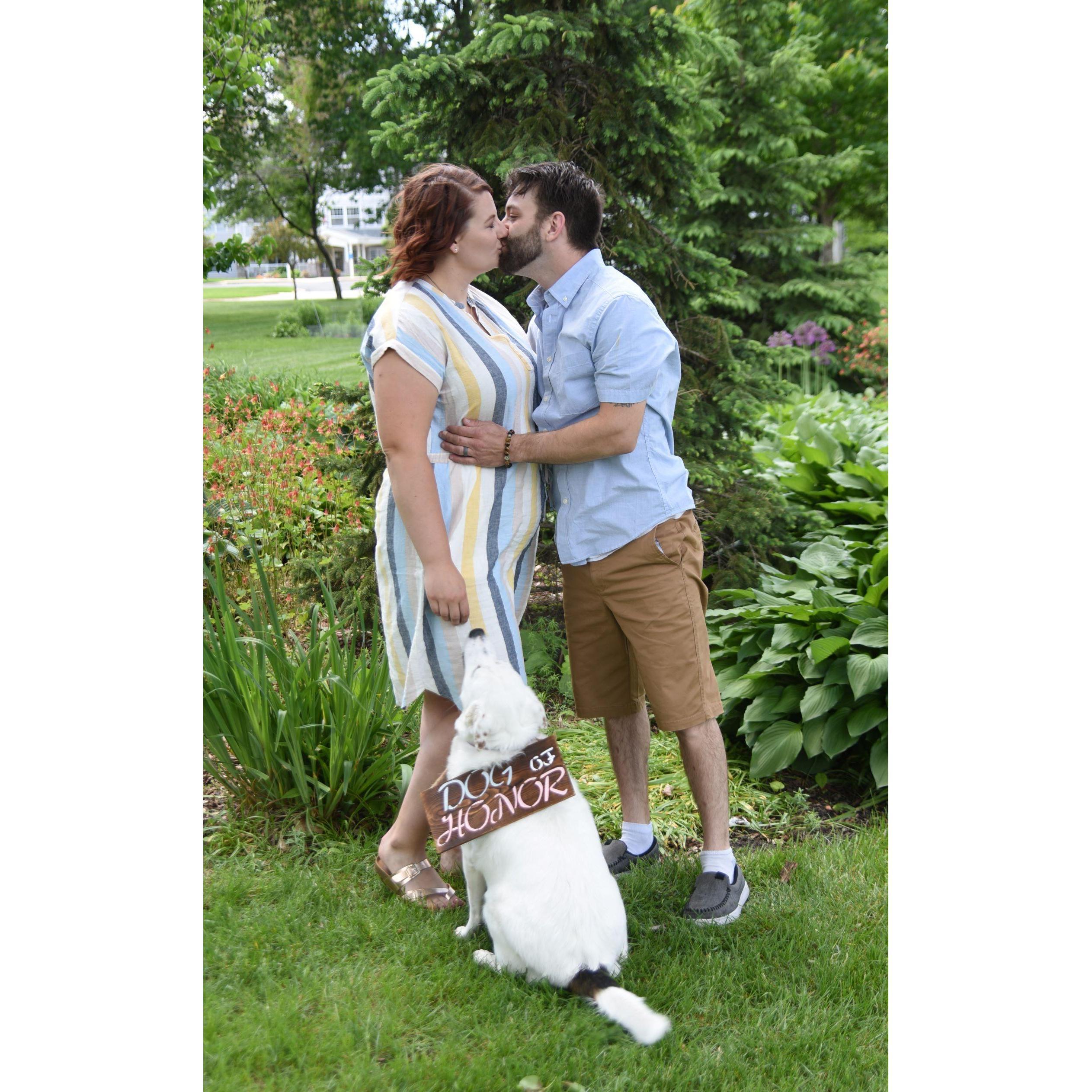The "Dog of Honor" Sugar