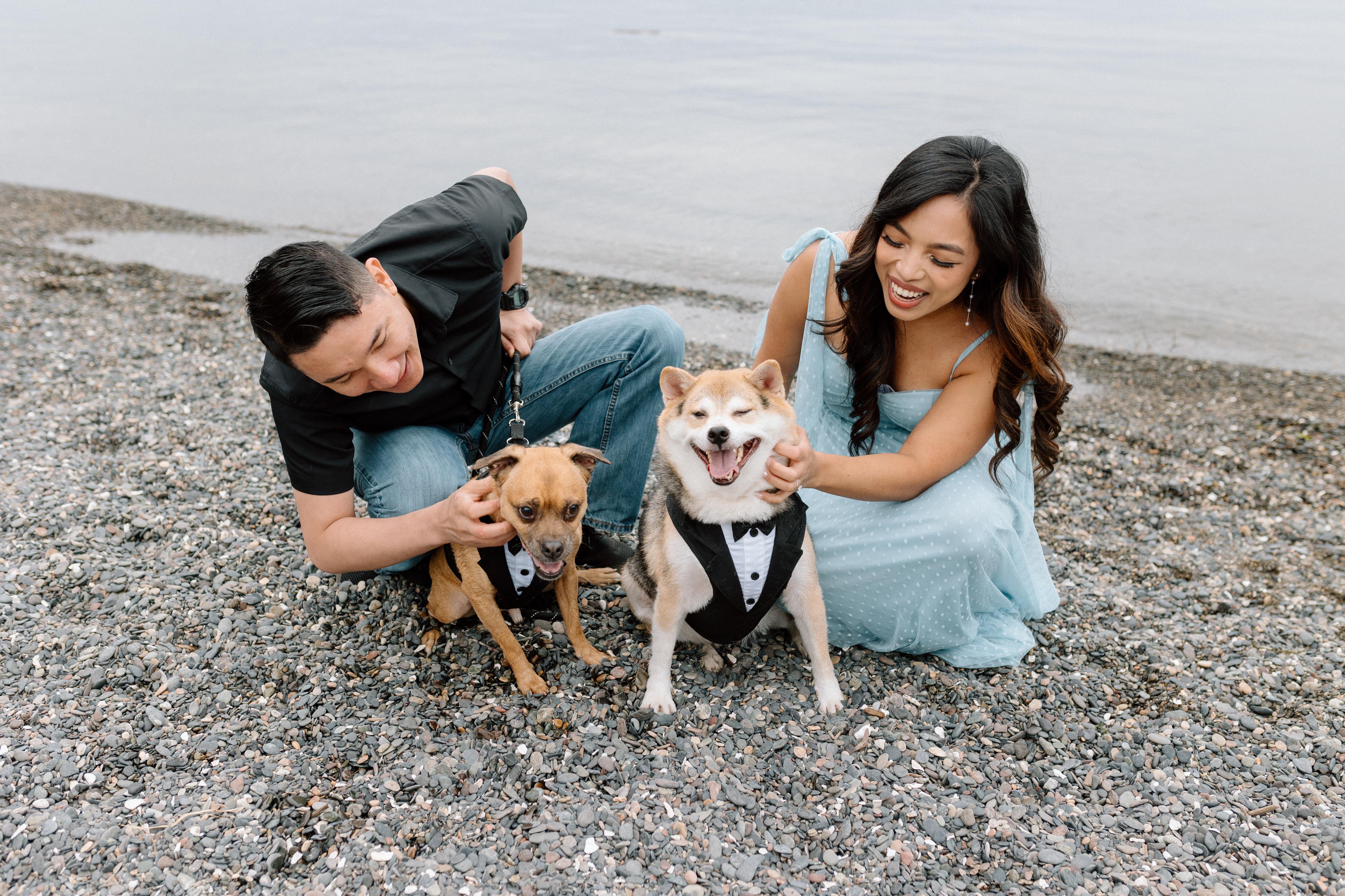 e822fcab-2889-40b0-9ebd-19d3cfa7ed2f