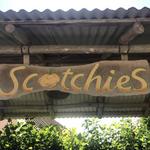 Scotchies Drax Hall
