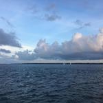 South Carolina Aquarium