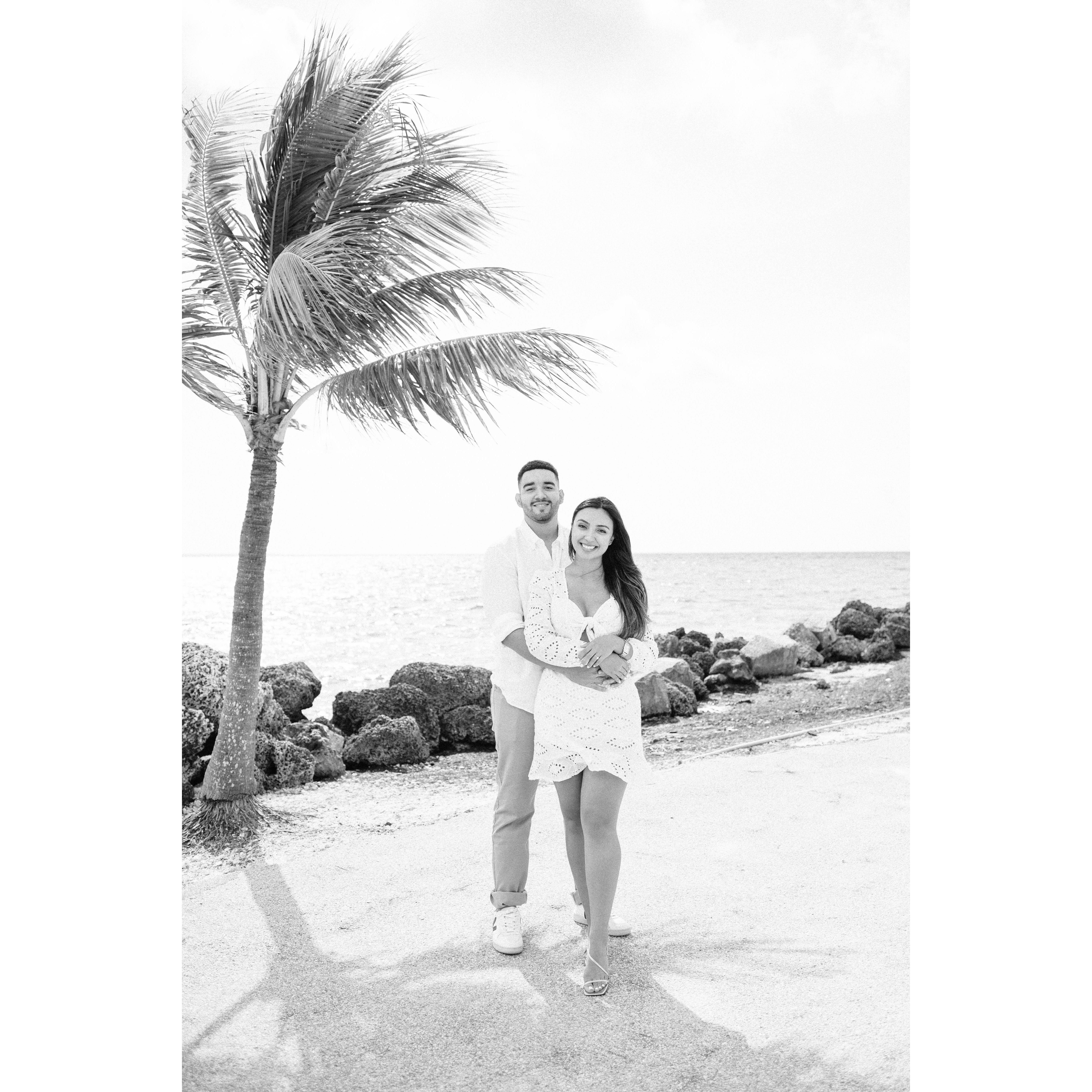 6 Years Later 
(Matheson Hammock Park)