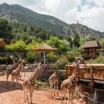 Cheyenne Mountain Zoo