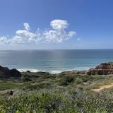 Torrey Pines Beach