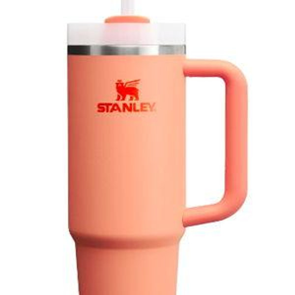 STANLEY Quencher H2.0 Tumbler with Handle and Straw 30 Ounces | Flowstate 3-Position Lid | Cup Holder Compatible for Travel | Insulated Stainless Steel Cup | BPA-Free | Seafoam